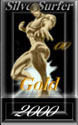 SilverSurfer Gold Award