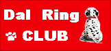 Japanese Dal Ring CLUB