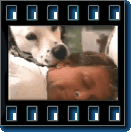 Preview Picture of the first 101 Dalmatians Trailer