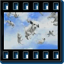 Preview Picture of the 102 Dalmatians Trailer