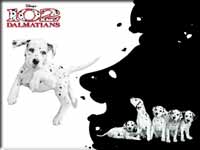Disney 102 Dalmatiner Desktop Hintergrundbild