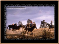 Klicke um diese Pferde-Postkarte zu verschicken