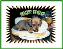 A very cute Hot Dog!