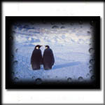 Happy End auf Pingu-Art