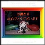 Happy Birthday fr japanische Dalmatiner!